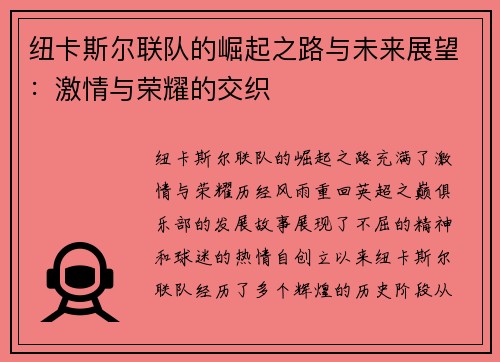 纽卡斯尔联队的崛起之路与未来展望：激情与荣耀的交织