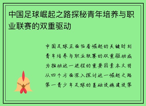 中国足球崛起之路探秘青年培养与职业联赛的双重驱动